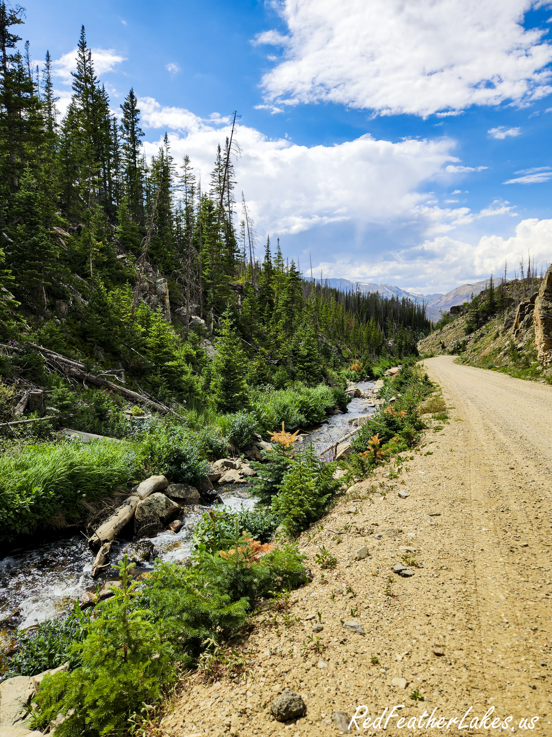 Snowmelt water rushing between rocks and summer greenery along Long Draw Road