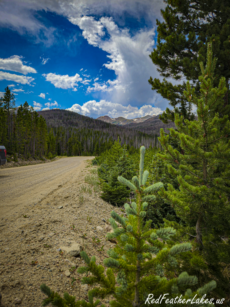 The wide, well-maintained dirt surface of Long Draw Road, passable for a passenger car in dry summer conditions