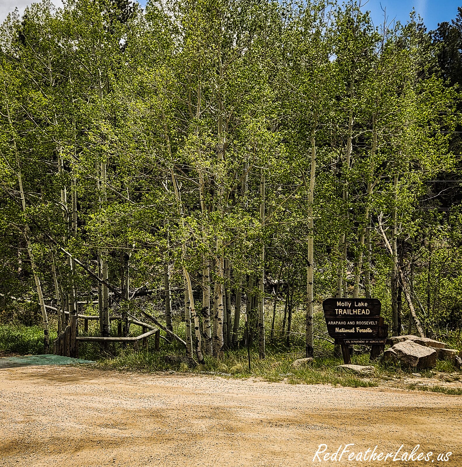 Molly lake red feather 01